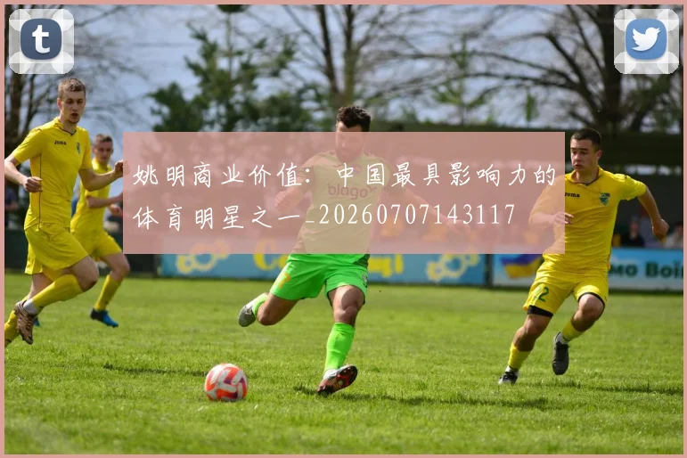 姚明商业价值:中国最具影响力的体育明星之一_20260707143117
